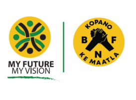 My Vision and Logo