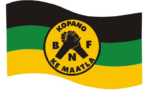 logo-bnf-rectangle-less-space